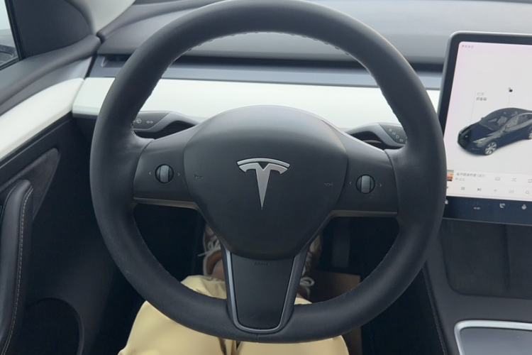 Used Tesla Model Y 2021 Standard Range Rear-Wheel Drive Version
