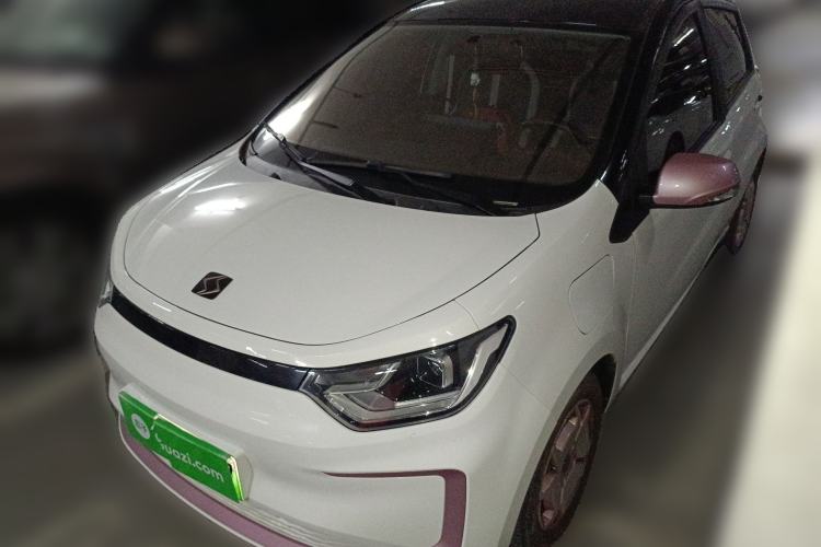 Used SOL E10X 2022 Flower Fairy Style Baby's Breath