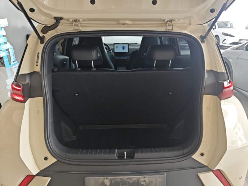 Used BYD Seagull 2024 Honor Edition 305km Freedom Version — 18