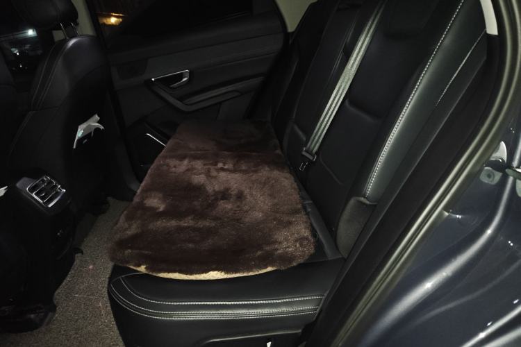 Used BYD Song Pro New Energy 2019 DM 1.5T Four-Wheel Drive Performance Edition Deluxe Model Left Rear Seat