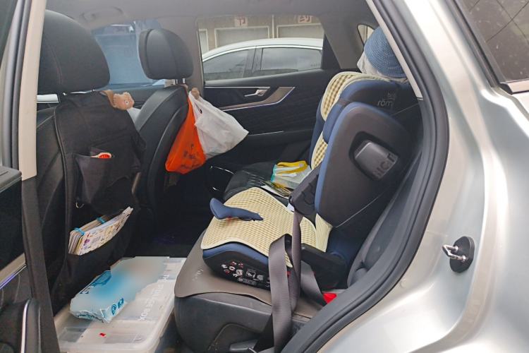 Used Hongqi HS5 2019 2.0T Smart Connect Flagship All-Wheel-Drive Version Left Rear Seat