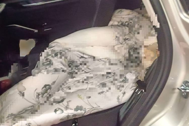 Used Haval H6 2024 2.0T Two-Wheel Drive Max