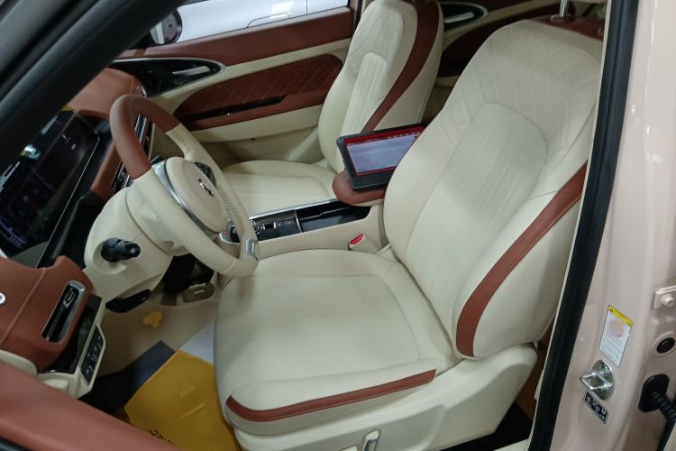 Used ORA Good Cat 2021 400km Standard Range Athena Edition Lithium-Ion Battery
