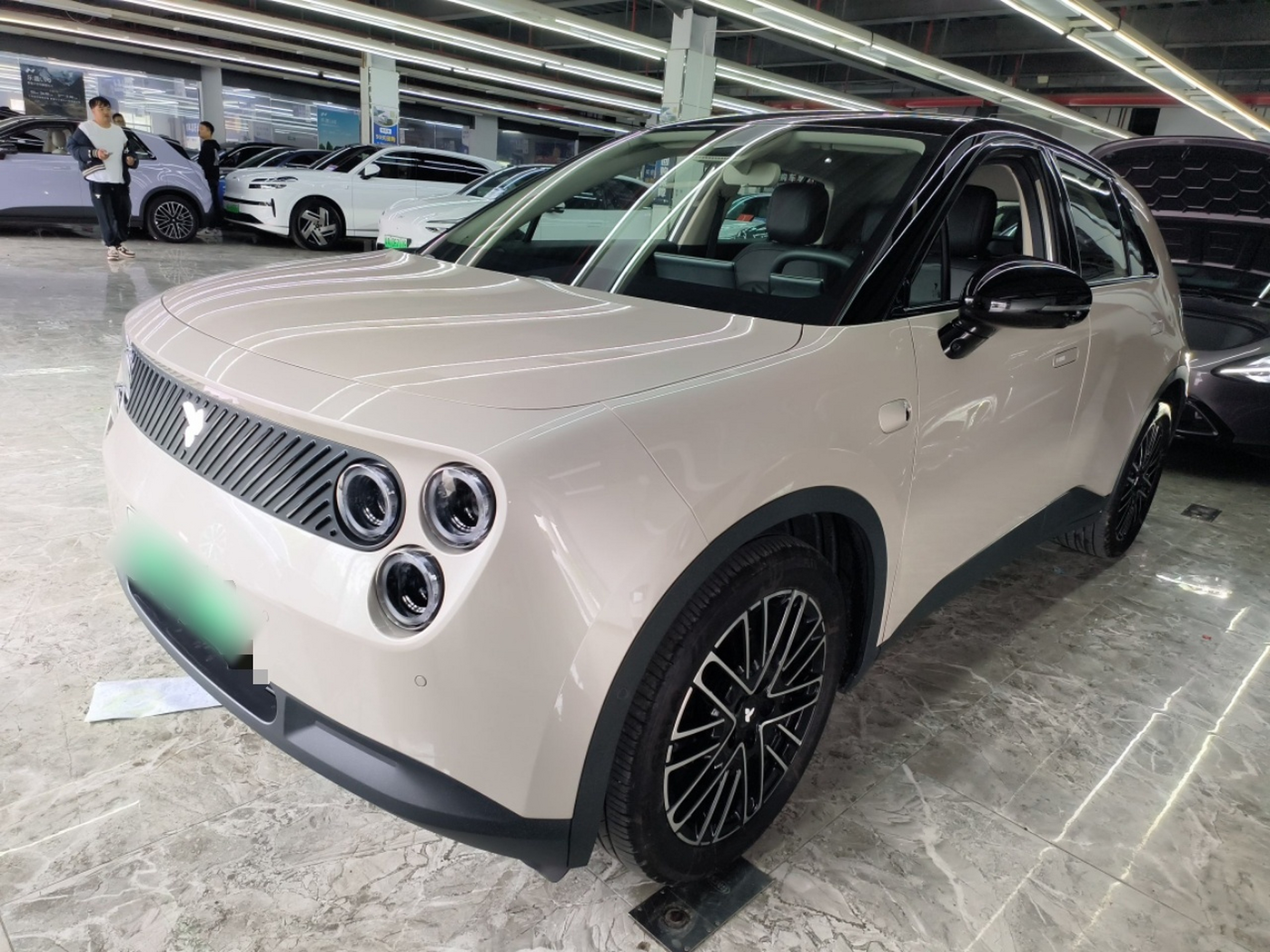 Parte inferior delantera