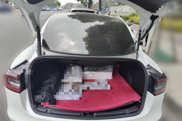 Used Tesla Model 3 2021 Standard Range Rear-Wheel Drive Upgraded Version 3D6
