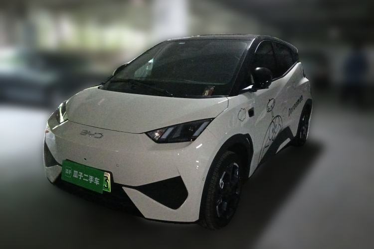 Used BYD Seagull 2025 Smart Drive Version 305 km Freedom Edition