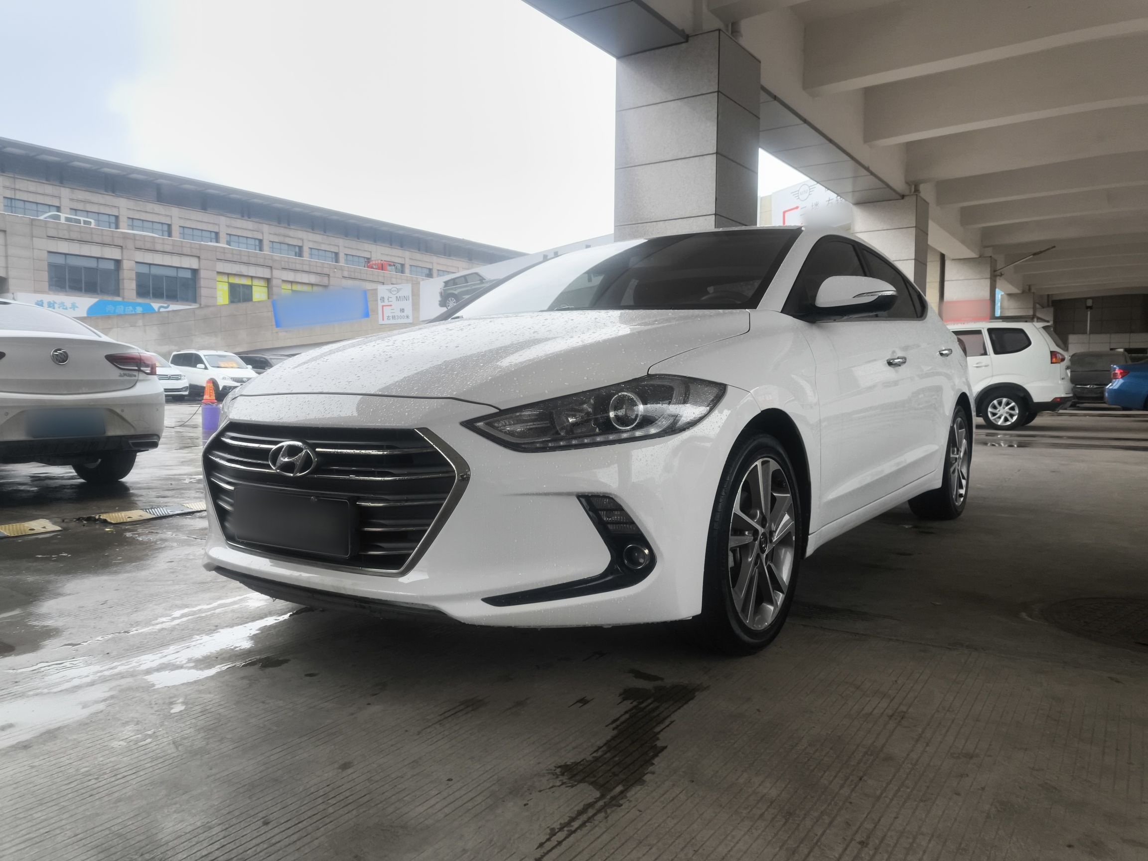 تحت مقدمة السيارة