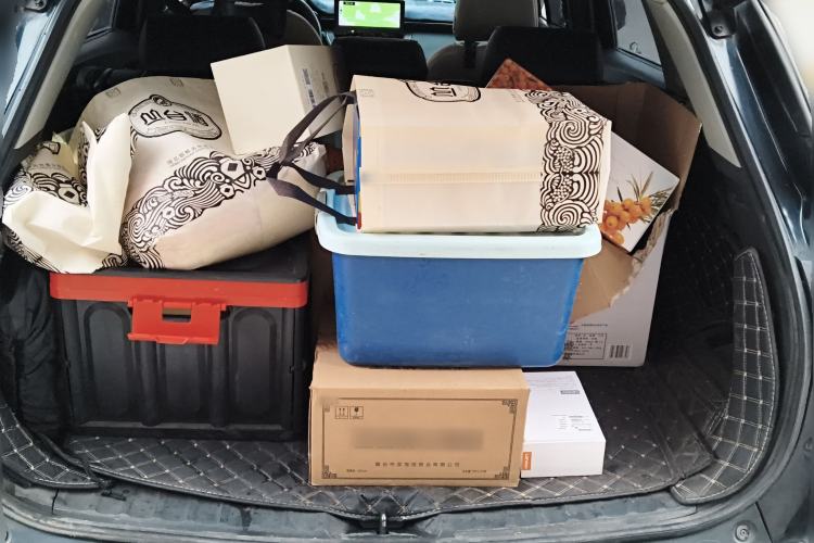 Used Toyota Corolla Cross 2023 Dual-Motor 2.0L Elite Edition