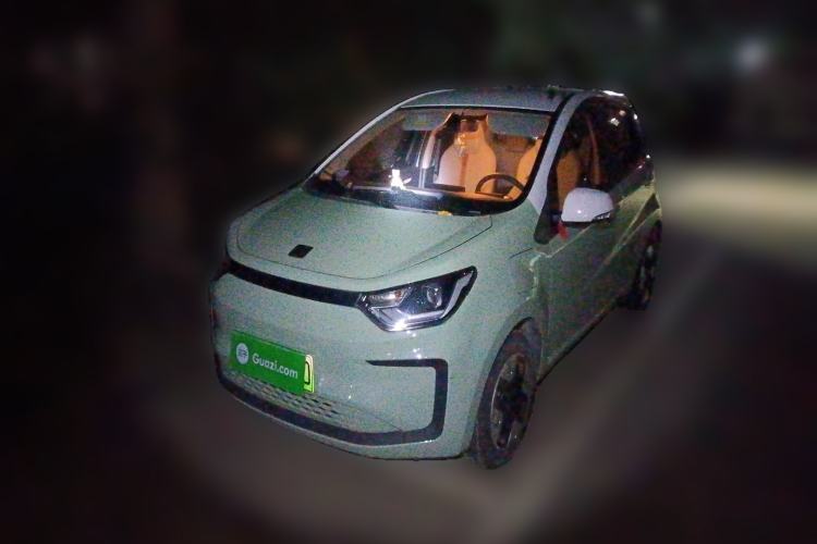 Used SOL E10X 2022 Flower Fairy Design Four-Leaf Clover