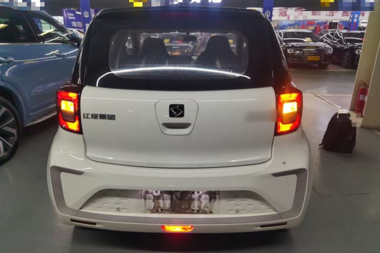 Used SOL E10X 2022 Flower Fairy Design Four-Leaf Clover
