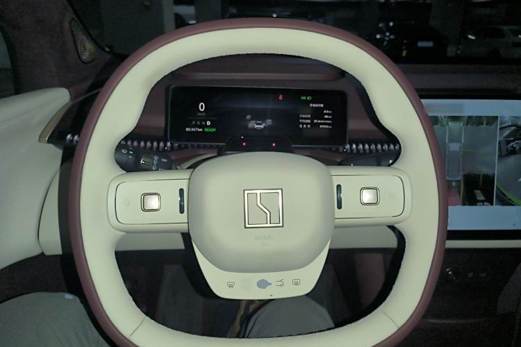 Used Zeekr X 2023 Rear-Drive YOU Edition 4 Seats
