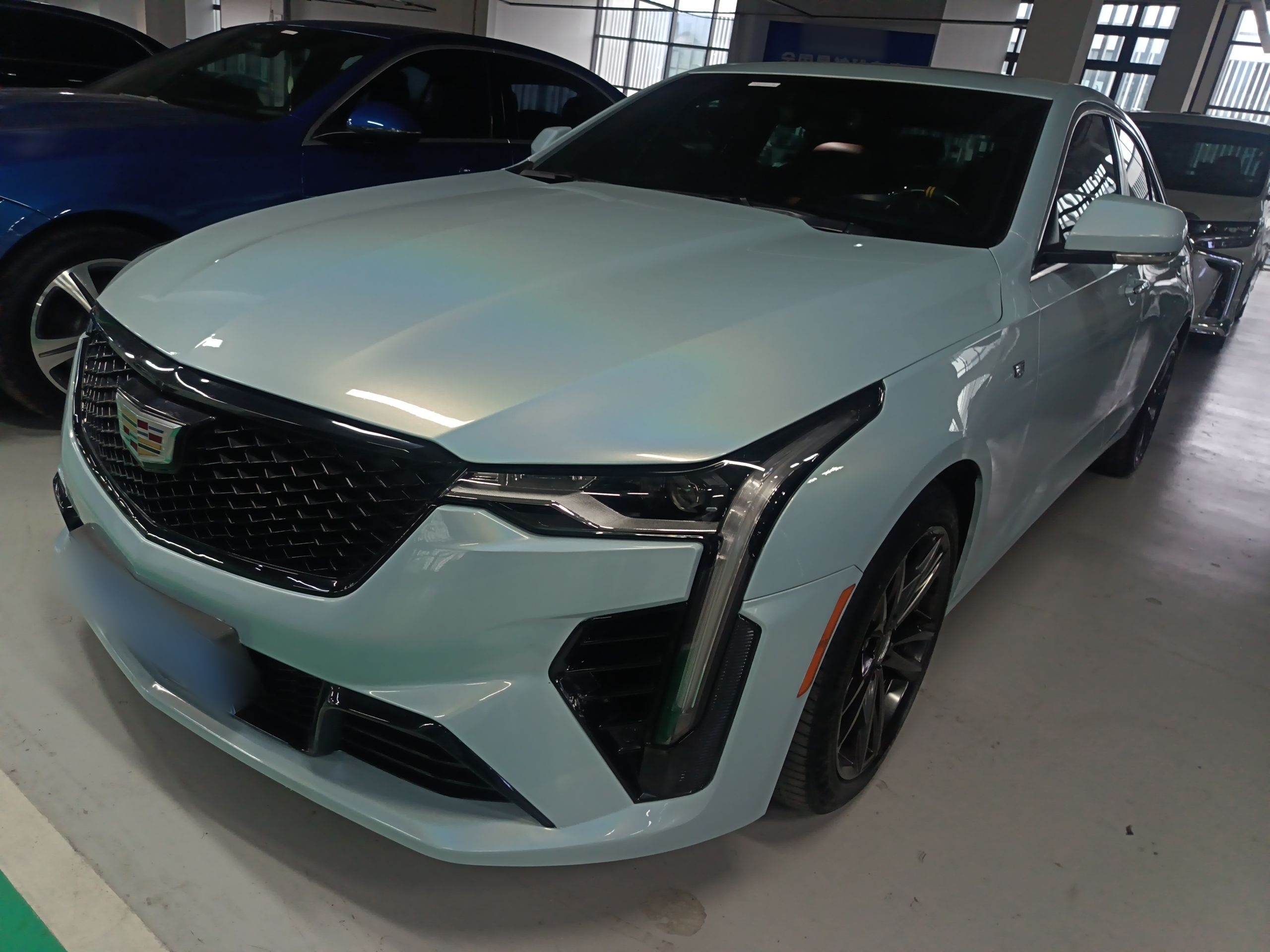 تحت مقدمة السيارة