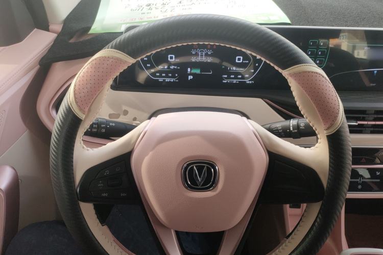 Used Oshan Benni E-Star 2020 Heart Edition Lithium Iron Phosphate (31.18 kWh)