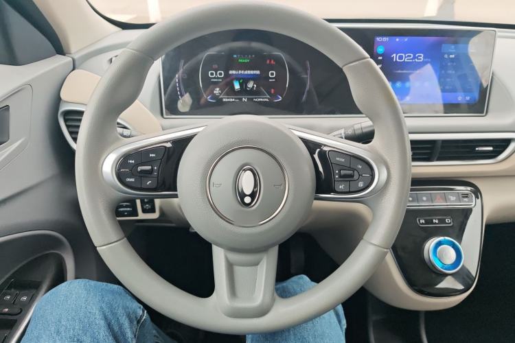 Used ORA White Cat 2022 Xiaoyue Mao Edition 360 km Luxury Model Lithium NMC
