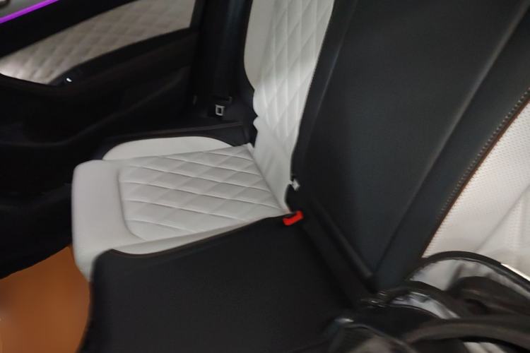 Used Volkswagen Magotan 2025 Zhongxiang Version 330TSI DSG Luxury Edition Left Rear Seat