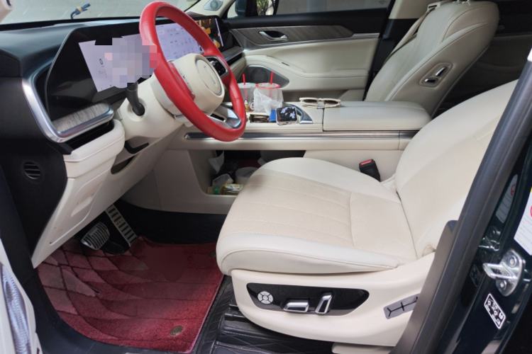 Used Wey Lanshan 2023 Four-Wheel Drive Ultra-Long Range Version