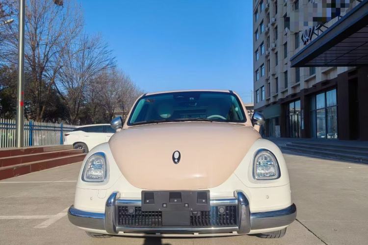 Used ORA Ballet Cat 2022 401 km Nutcracker Edition Exterior 8