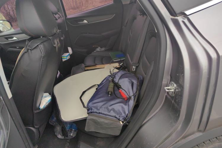 Used BORGWARD BX5 2017 25TGDI Automatic Four-Wheel Drive Smart Enjoyment Model