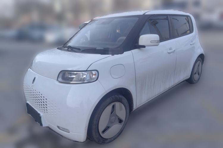 Used ORA White Cat 2020 360 km Luxury Version