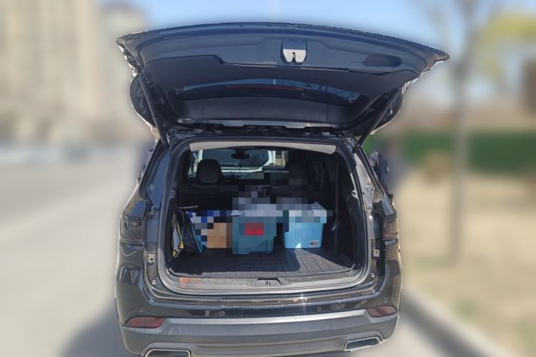 Used Jeep Grand Commander 2018 2.0T Four-Wheel Drive Enjoyment Version China V Trunk