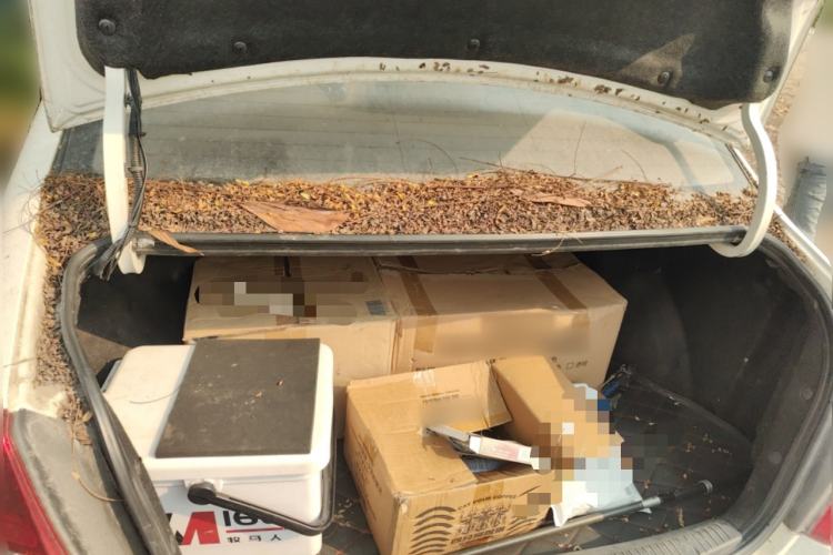 Used Kia Cerato 2007 1.6L MT GL
