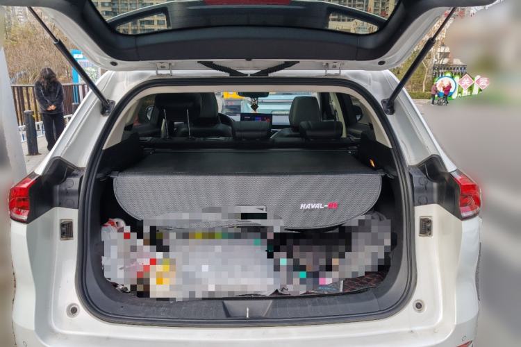 Used Haval H6 2021 National Trend Edition 1.5T Automatic Champion Version
