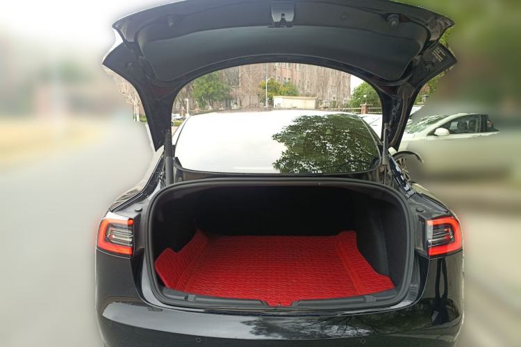 Used Tesla Model 3 2021 Standard Range Rear-Wheel Drive Upgraded Version 3D6
