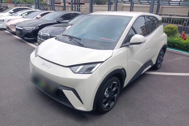 Used BYD Seagull 2024 Honor Edition 305km Freedom Version