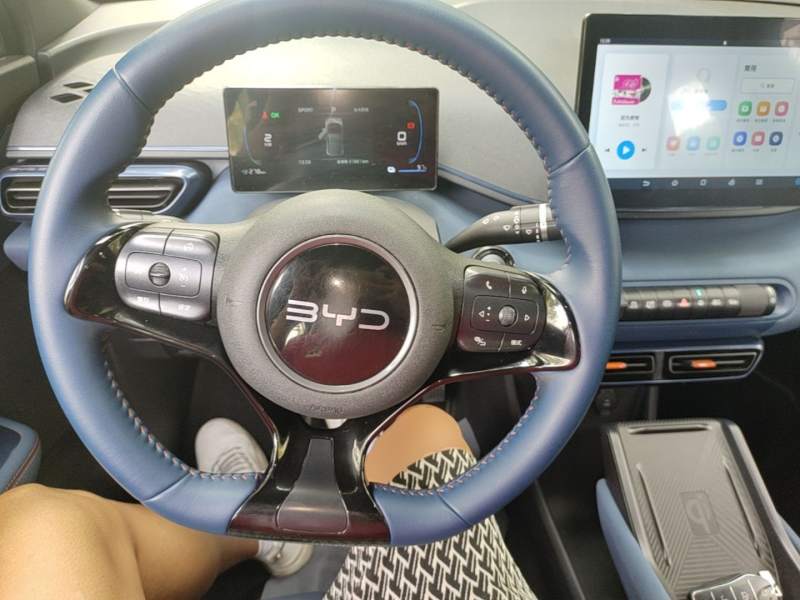 Used BYD Seagull 2024 Honor Edition 305km Freedom Version — 10
