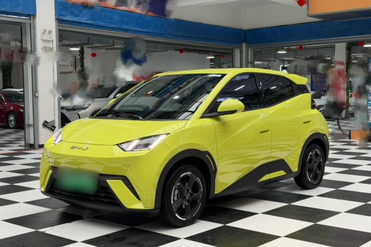 Used BYD Seagull 2023 Flying Edition Exterior 1