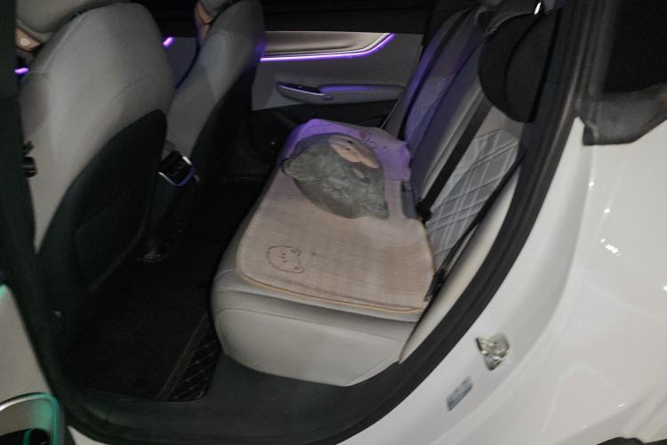 Used CHANGAN NEVO A07 2024 Pure Electric "True Fragrance" Edition 515 Prestige Model
