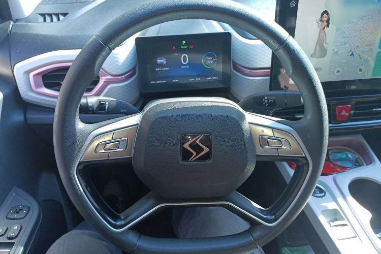 Used SOL E10X 2022 Flower Fairy Design Four-Leaf Clover Steering Wheel