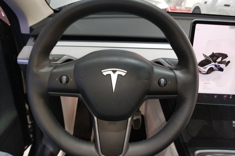 Used Tesla Model Y 2023 Rear-Wheel-Drive Version