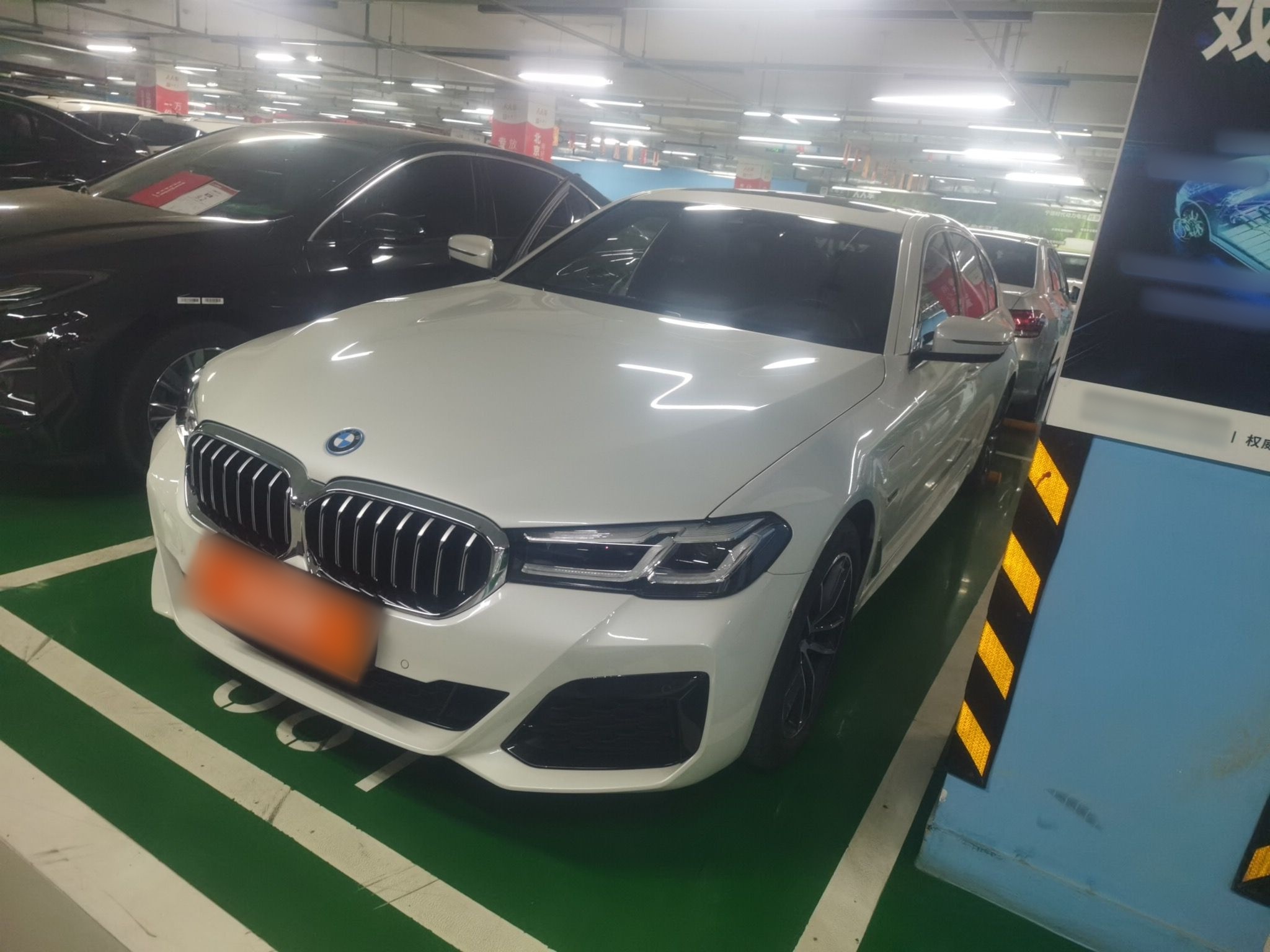 Parte inferior delantera