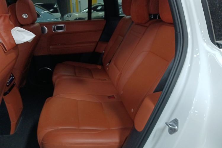 Used Li Auto L6 2024 Max Left Rear Seat