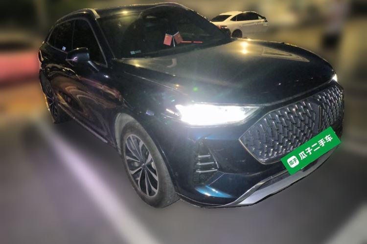 Used Wey Mocha 2021 2.0T Four-Wheel Drive Premium Edition
