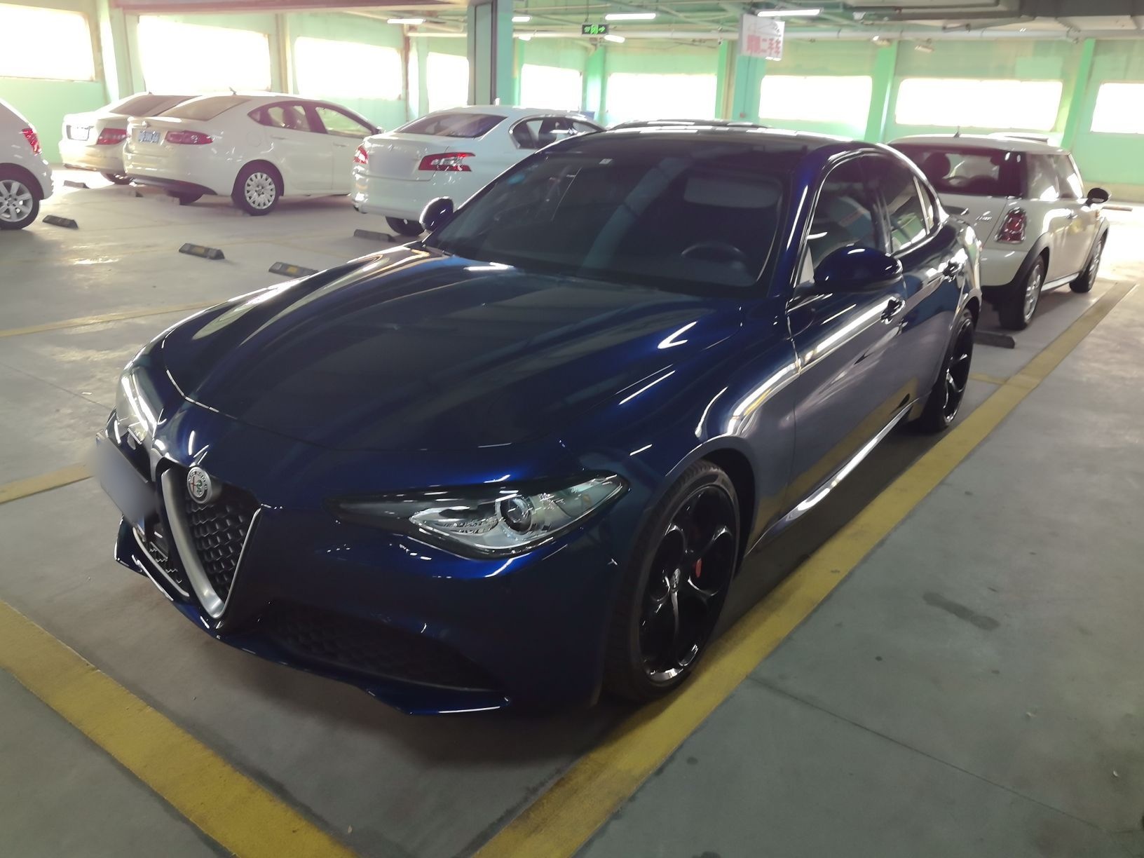 تحت مقدمة السيارة