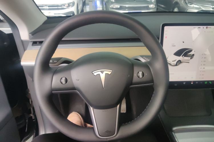 Used Tesla Model Y 2021 Standard Range Rear-Wheel Drive Version
