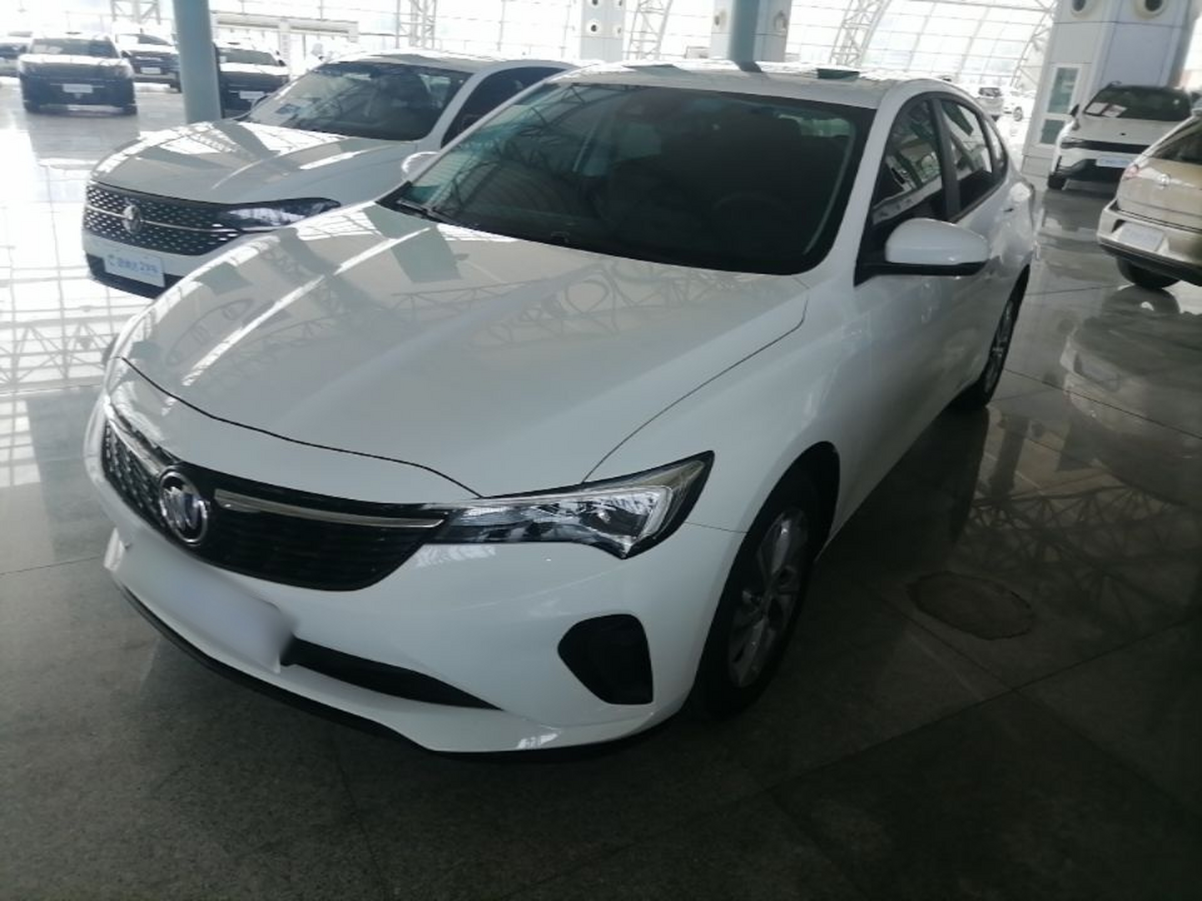 Under Front Bumper
