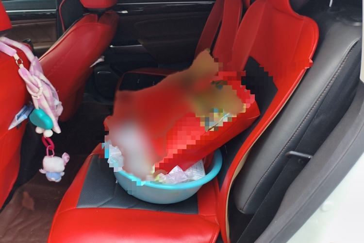 Used GAC Trumpchi GS8 2017 320T Two-Wheel Drive Luxury Edition (7 Seats)