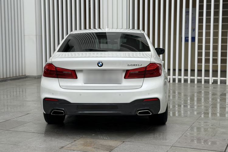 Used BMW 5 Series 2020 530Li Luxury Edition M Sport Package Exterior 4