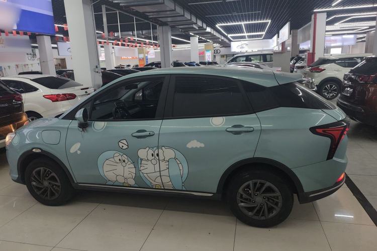 Used NETA V 2022 Chao 300 Lite Lithium Iron Phosphate