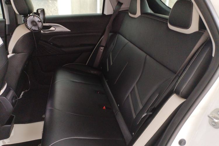 Used Geometry E Firefly 2022 401 km Linglong Tiger 4 Seats
