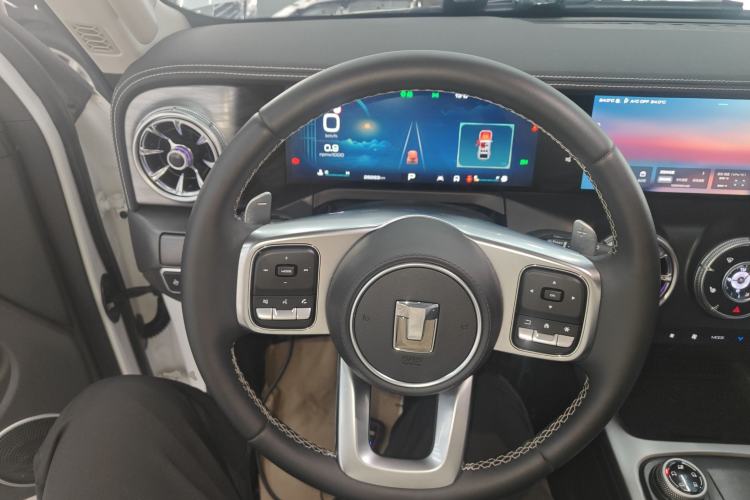 Used Tank 300 2024 2.0T Conqueror