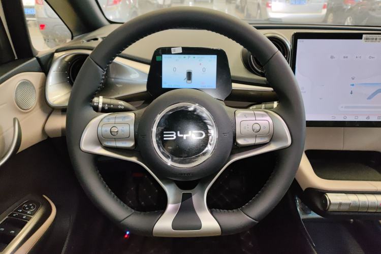 Used BYD Dolphin 2025 420km Free Edition
