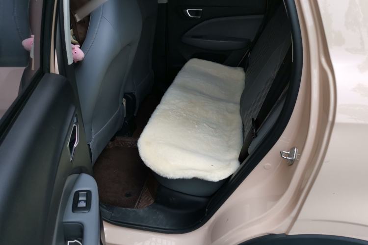 Used Leapmotor T03 2021 400 Luxury Edition Left Rear Seat