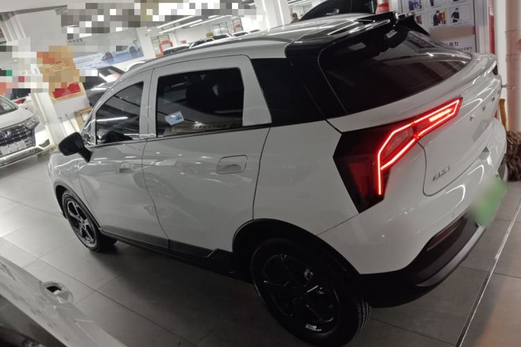 Used Geometry E Firefly 2024 401 km Fluorescent
