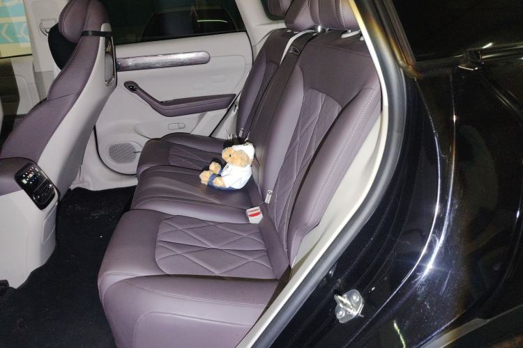 Used Leapmotor C11 2024 Range-Extended 300 Luxury Edition