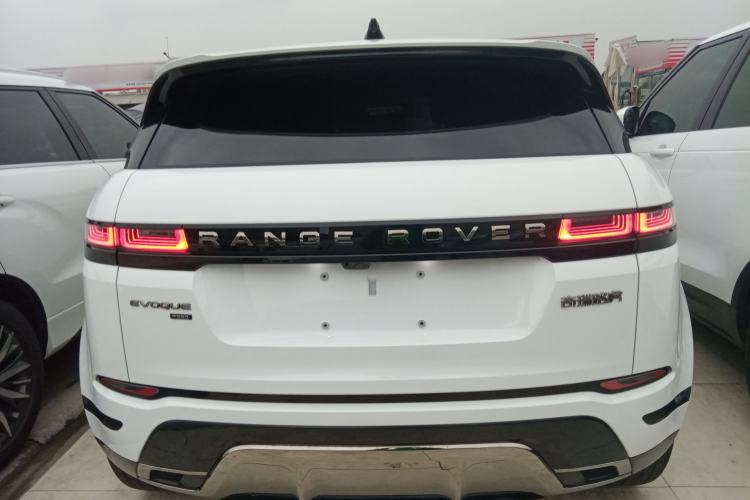 Used Land Rover Range Rover Evoque 2023 Aurora L 249 PS Luxury Edition