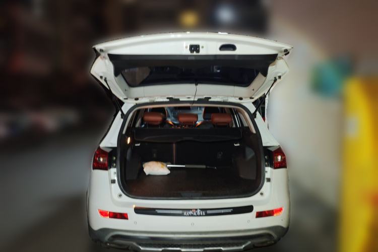 Used Zotye T600 2014 2.0T DCT Luxury Version Trunk